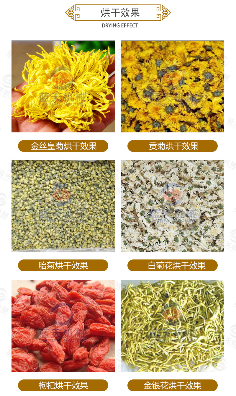 菊花網(wǎng)帶式烘干機(jī)烘干效果
