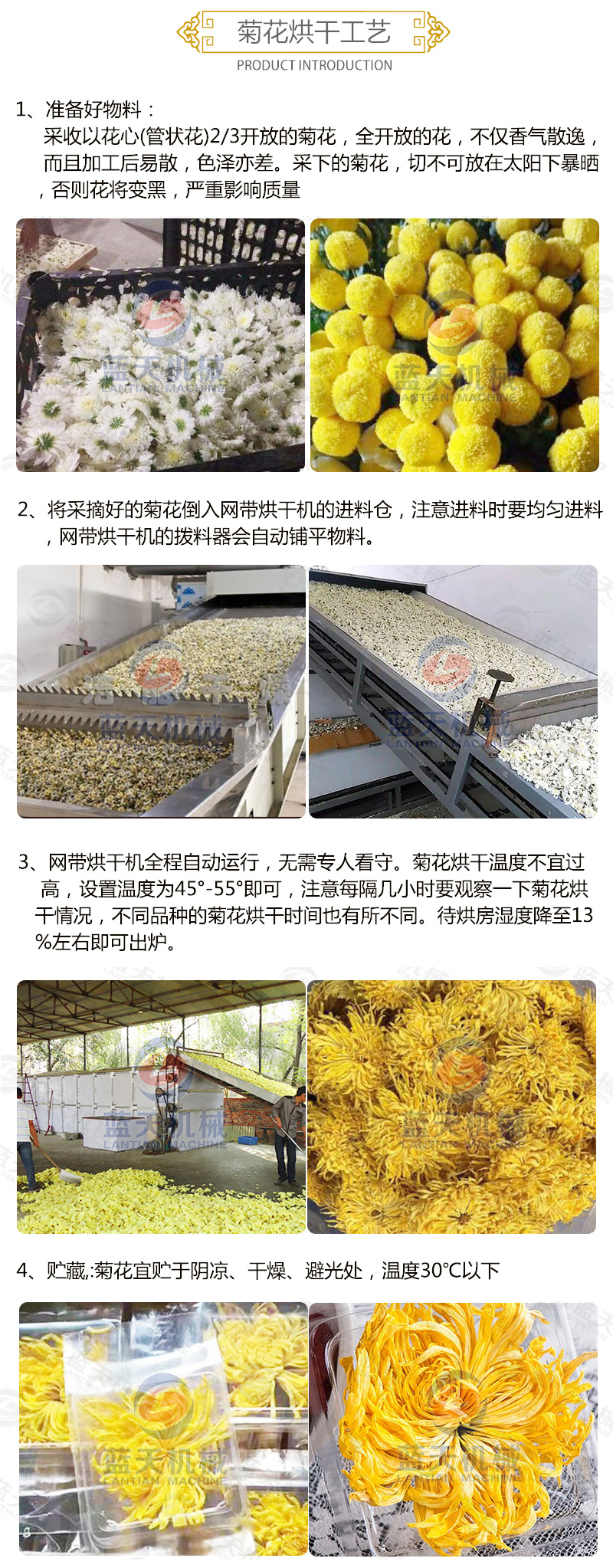 菊花網(wǎng)帶式烘干機(jī)烘干工藝