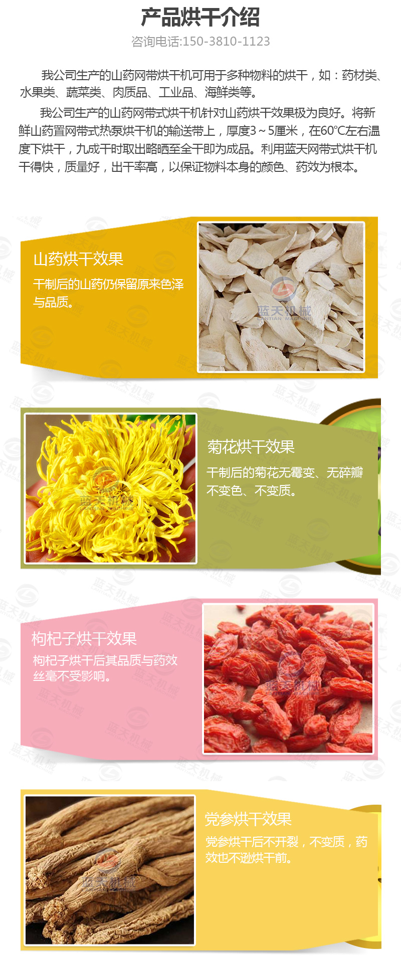 山藥片網(wǎng)帶式烘干機產(chǎn)品烘干