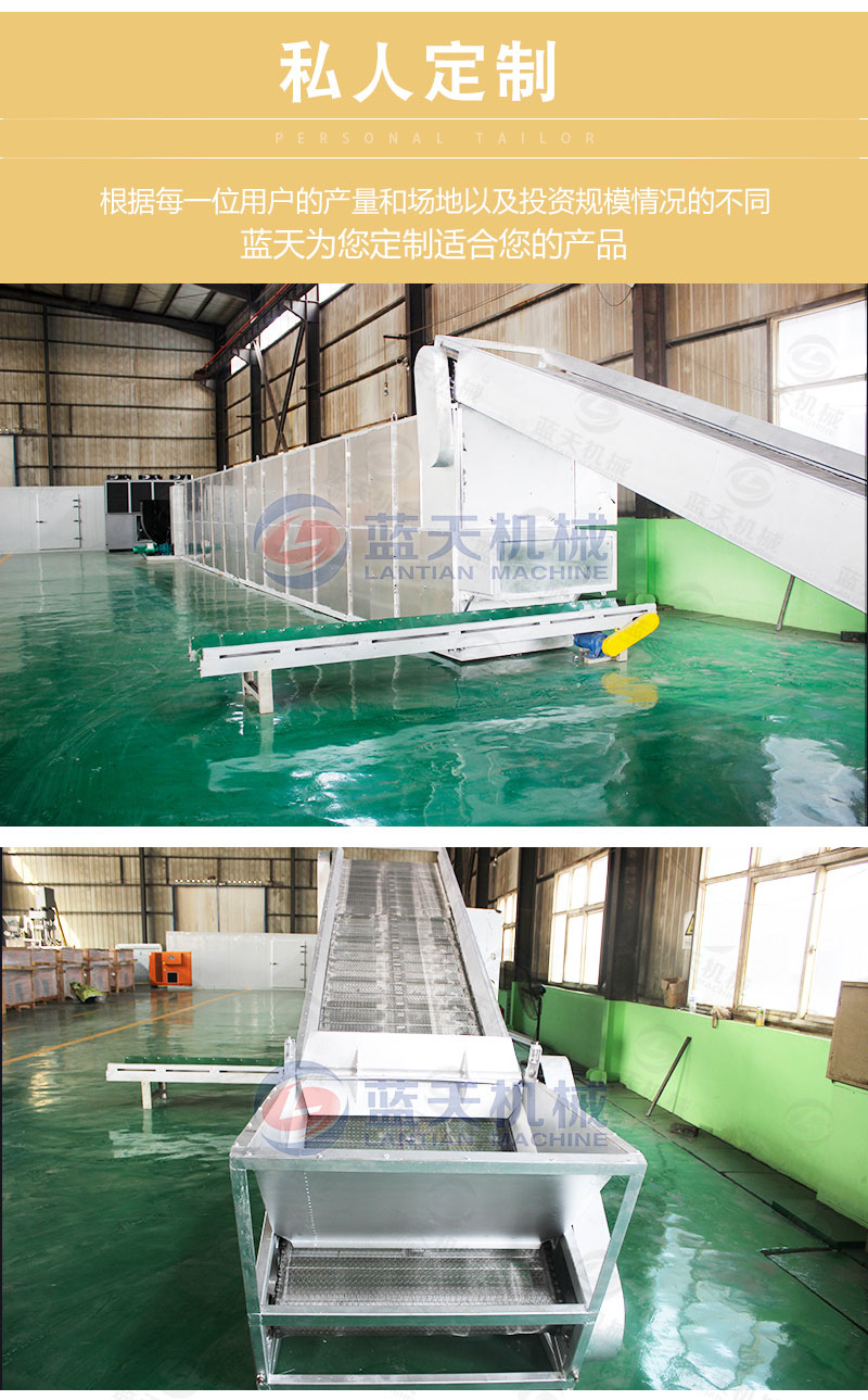 山藥片網(wǎng)帶式烘干機私人定制