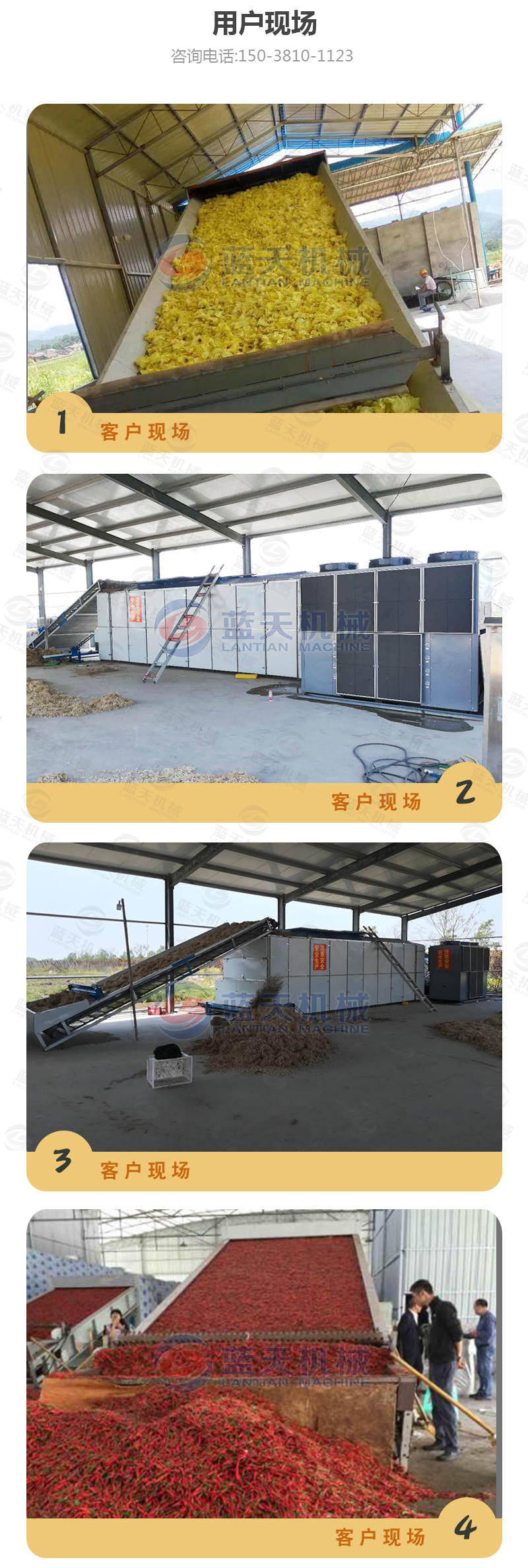 山藥片網(wǎng)帶式烘干機用戶現(xiàn)場