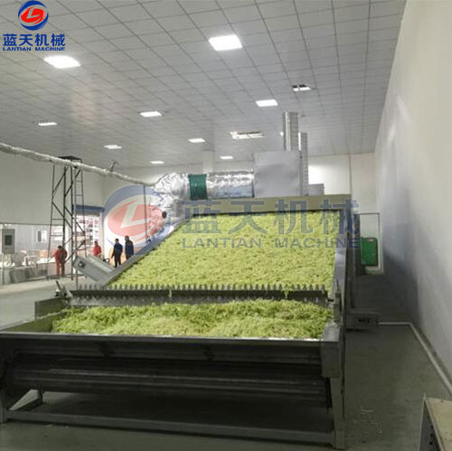 河南蔬菜網(wǎng)帶烘干機(jī)客戶現(xiàn)場