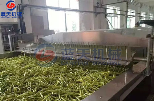 山西黃花菜網(wǎng)帶烘干機(jī)客戶(hù)現(xiàn)場(chǎng)