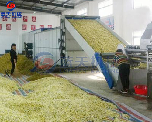 菊花網帶式烘干機客戶現(xiàn)場