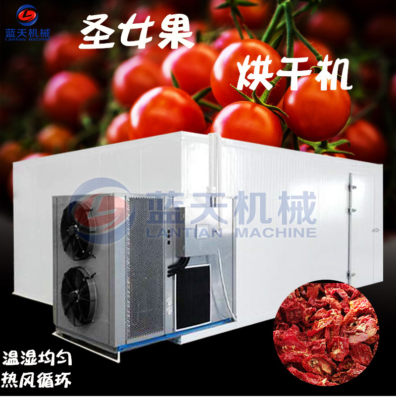 圣女果烘干機(jī)